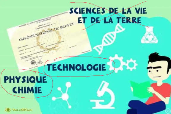 dnb-2024-disciplines sciences retenues.png