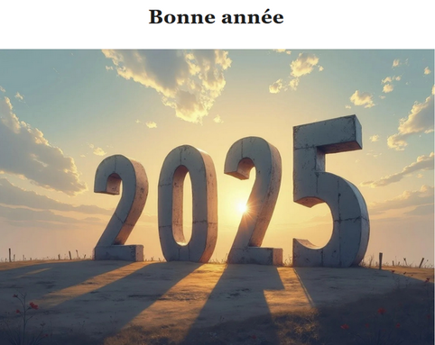 Bonne année 2025.png